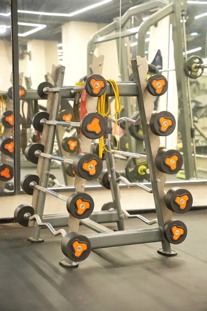 A rack of fixed barbells marked 10, 15, 20, 25 and 30 kilos